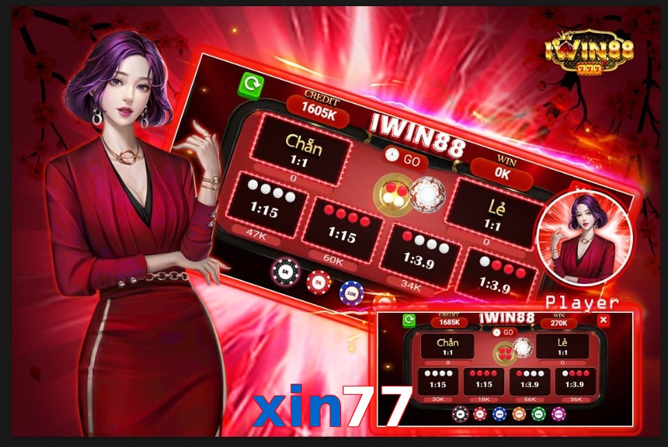 xin77