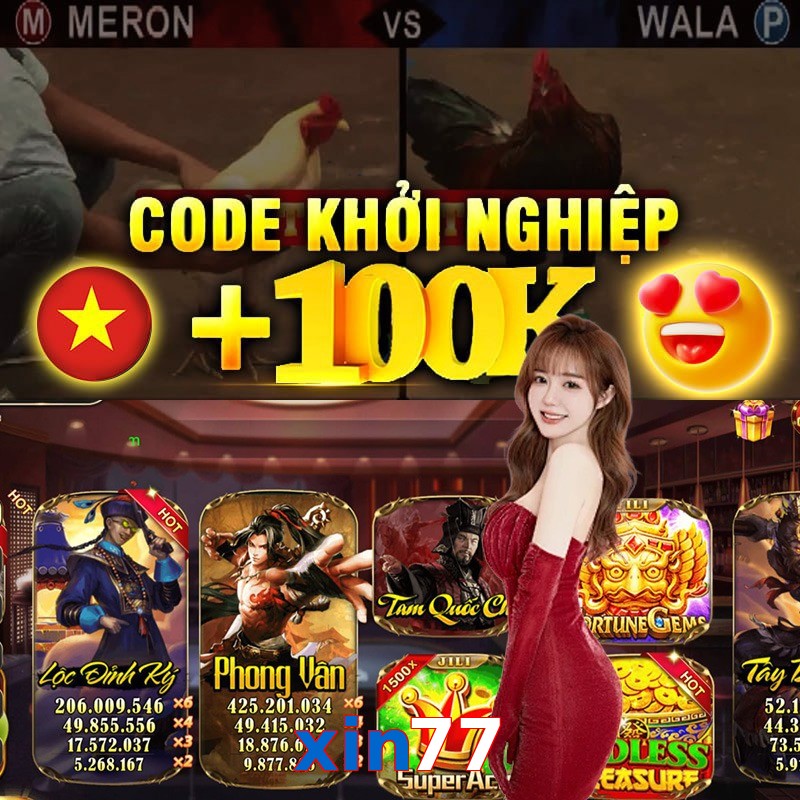 xin77